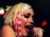 No Doubt Photo