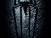 The Amazing Spider-Man Poster