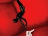 American Horror Story Poster