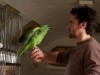 Jackson Hurst A Bird of the Air Photo