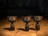 Bear Cubs Photo