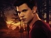 Taylor Lautner Poster