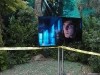 Grimm Display