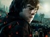 Rupert Grint Photo