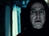 Alan Rickman Photo