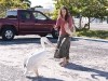 Ashley Judd Dolphin Tale Photo