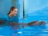 Austin Highsmith and Winter Dolphin Tale Photo