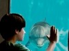 Nathan Gamble Dolphin Tale Photo