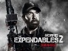 Chuck Norris Poster