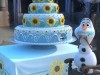 Frozen Fever Photo
