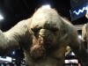 Troll Photo