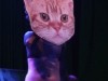 Mindless Self Indulgence Photo