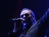 Peter Murphy Photo