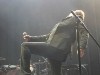 Peter Murphy Photo