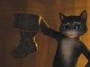 Kitty Softpaws Photo