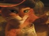 Puss in Boots Photo