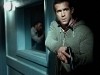 Ryan Reynolds Safe House Photo