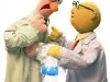 Beaker and Dr. Bunsen Honeydew The Muppets Photo