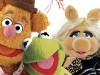 Fozzie Bear, Animal, Kermit the Frog, and Miss Piggy Photo