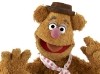 Fozzie Bear The Muppets Photo