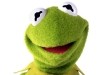 Kermit the Frog The Muppets Photo