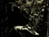 The Possession Poster