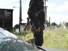 Andrew Lincoln Photo