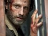 Andrew Lincoln Photo