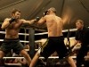 Joel Edgerton Warrior Photo