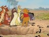The Winnie the Pooh Gang Photo