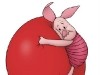 Piglet Photo