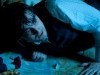 Daniel Radcliffe The Woman in Black Photo