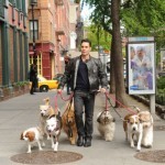 Justin Silver stars in 'Dogs in the City'