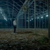Big Bad Wolves