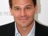 David Boreanaz Photo