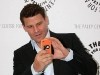 David Boreanaz Photo