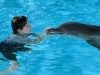 Nathan Gamble and Winter Dolphin Tale Photo