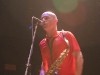 The English Beat Photo