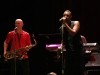 English Beat Photo