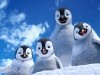 Bo, Erik, Mumble and Atticus Happy Feet 2 Photo