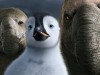 Mumble and Bryan Happy Feet 2 Photo