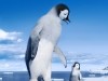 Mumble and Erik Happy Feet 2 Photo