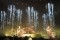 Imagine Dragons Photo