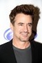 Dermot Mulroney Photo