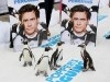 Penguins Photo