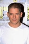 Wentworth Miller Photo