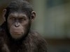 Andy Serkis as Caesar Photo