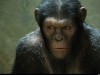 Andy Serkis as Caesar Photo