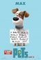Max Poster