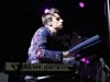 The Sounds Photo